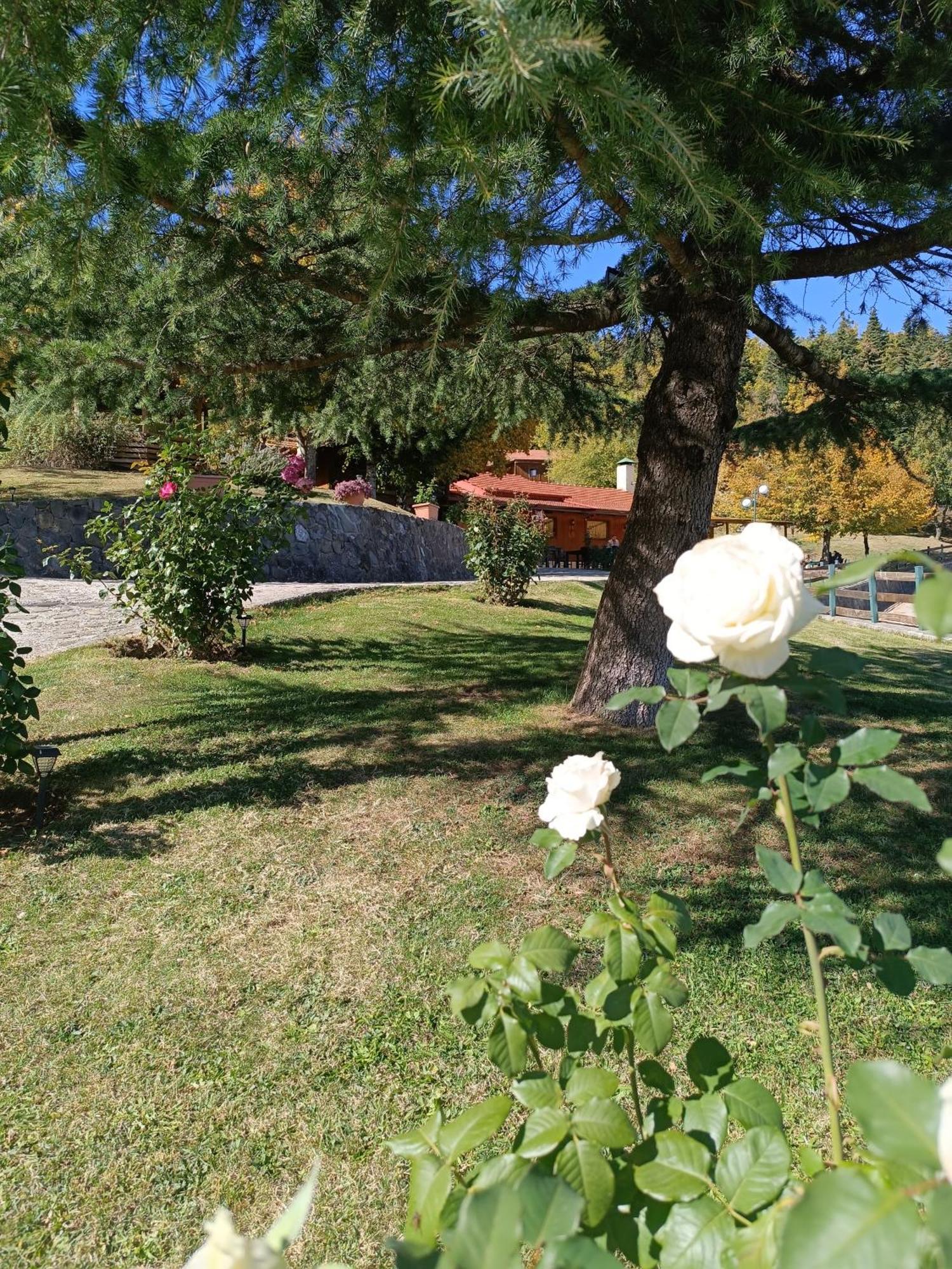 Livadaki Village Megali Kapsi Экстерьер фото