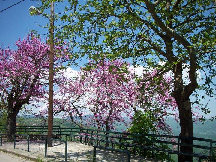 Livadaki Village Megali Kapsi Экстерьер фото
