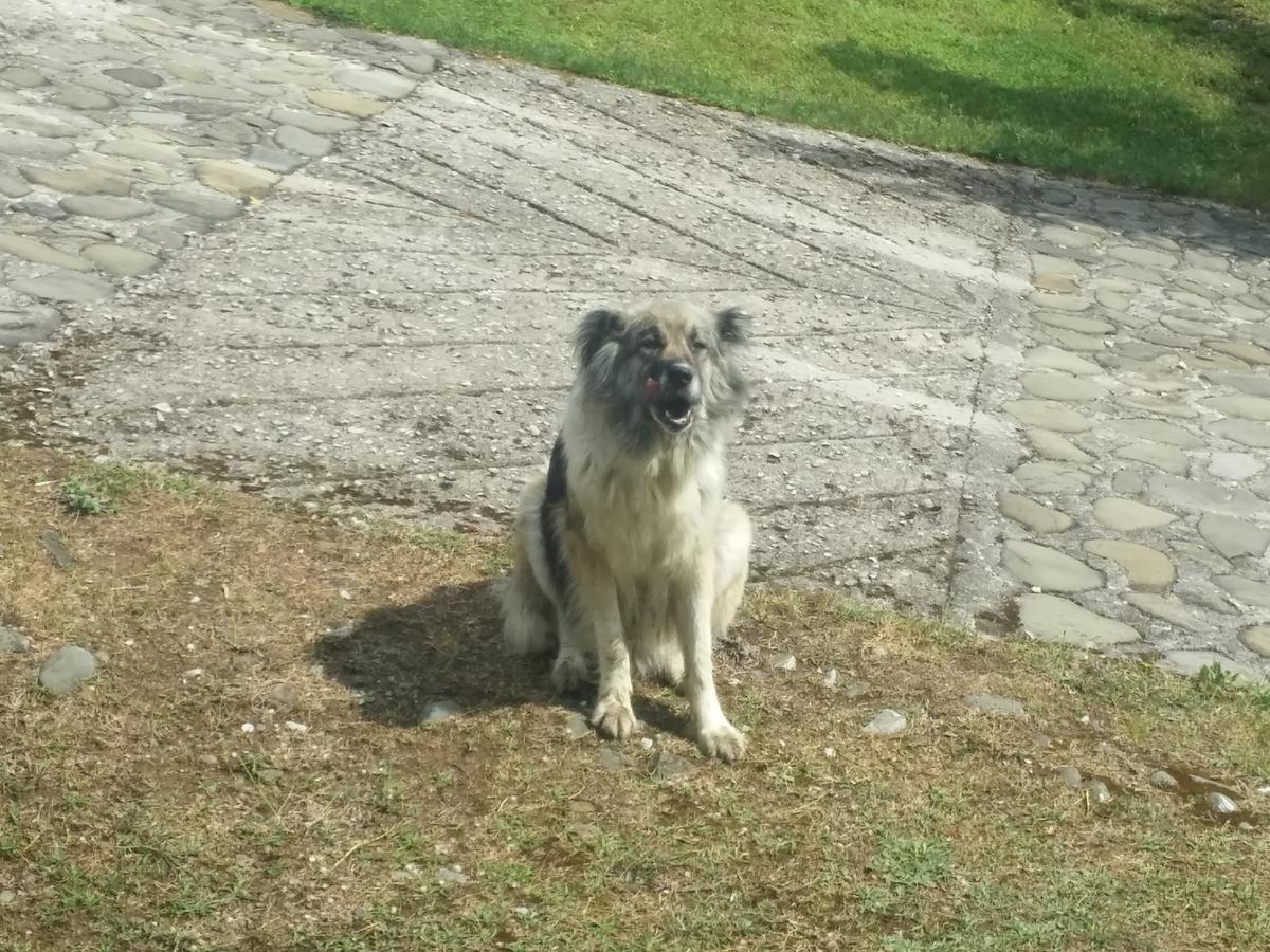 Livadaki Village Megali Kapsi Экстерьер фото