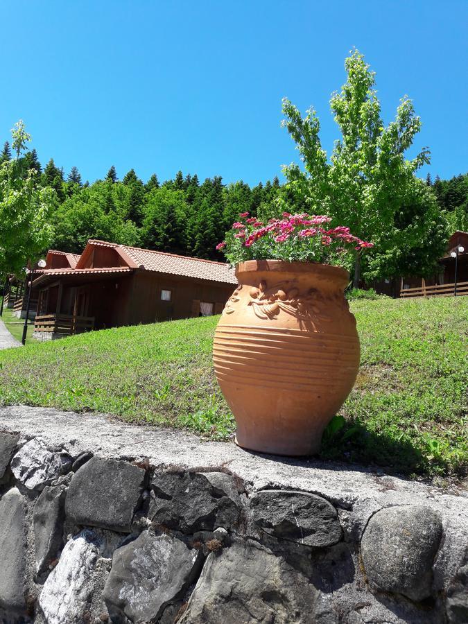 Livadaki Village Megali Kapsi Экстерьер фото