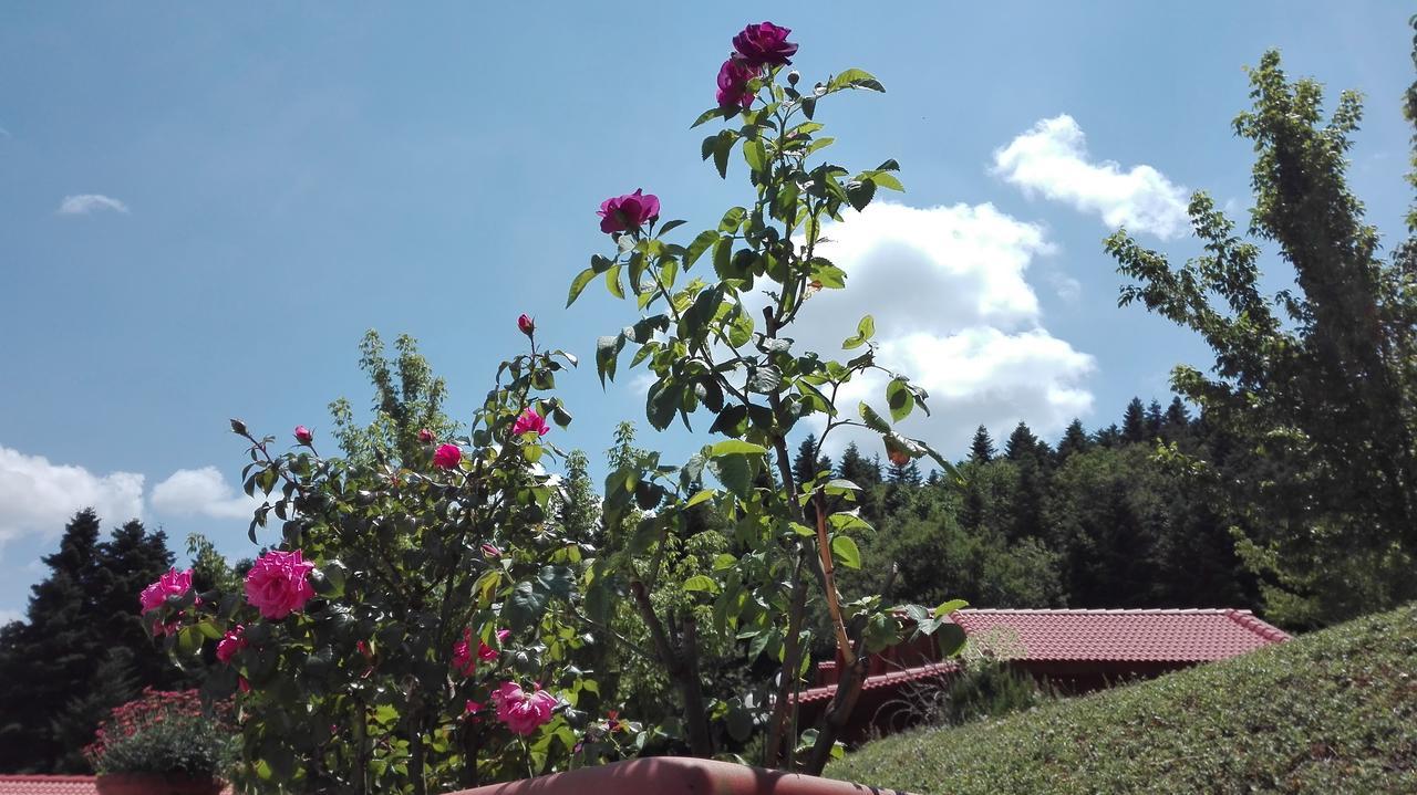 Livadaki Village Megali Kapsi Экстерьер фото
